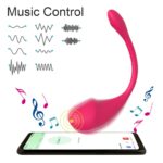 Wireless Bluetooth G Spot Vibrator for Women APP Remote Control